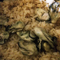 lala1107's cooksnap of when they made オイスターソースで！？牡蠣の炊き込みご飯.