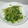 Kitchen♡m's cooksnap of when they made もやし豆苗炒め.