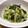 ワカヨウ's cooksnap of when they made ねぎとワカメの常備菜.