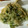 スポボブ's cooksnap of when they made サックサク！豆苗とエリンギのかき揚げ.