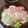 めぐもちゃん☆'s cooksnap of when they made ★生ハムサラダ★.