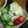 M130018's cooksnap of when they made 長いもシャキシャキサラダ.