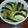 しんし～'s cooksnap of when they made 夏野菜のティアン.