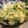 くらちこ's cooksnap of when they made 簡単…水菜と油揚げ　お弁当にも♪♪.