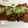 まりりん929's cooksnap of when they made わさびが香る和風おろしステーキソース.