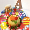 アビーゲイル's cooksnap of when they made 超簡単！野菜だけで作る犬のケーキ.