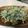 jona's cooksnap of when they made きのこと水菜のサラダ.