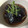 ma●co's cooksnap of when they made 簡単 茄子の揚げ浸し.