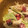 クック26UEZU☆'s cooksnap of when they made ☆酢だこときゅうり☆からしマヨネーズ和え.
