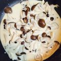 クックI6RO84☆'s cooksnap of when they made ＊きのこたっぷりクリーム煮＊ ソースにも.