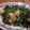 トレピアンテ's cooksnap of when they made 大根の葉っぱの炒め物.