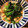 yoppyno's cooksnap of when they made 豆とほうれん草のサラダ.