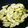クックVGR83V☆'s cooksnap of when they made フライパンで簡単フライドポテトのり塩味.