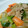 チャロップ's cooksnap of when they made たっぷり野菜の中華風とろみ焼きそば.