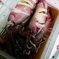 ユーロン's cooksnap of when they made やりいかの酒煮.