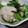 クックUPFDDQ☆'s cooksnap of when they made 簡単☆かぶの浅漬け☆梅肉と塩こんぶ和え.
