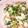 momocookin's cooksnap of when they made 美味しく簡単☆春菊の白和え.