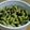 IAmでこぽん's cooksnap of when they made 豆料理：青豆の水煮.