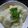 みみみみ５'s cooksnap of when they made 鶏の中華粥♪.