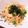 mina4☆'s cooksnap of when they made 簡単！レンジで明太子うどん.