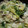 わんこたんわんたん's cooksnap of when they made 白菜たっぷり中華旨煮丼.