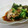 abril20's cooksnap of when they made 豚肉とタアサイの炒め物.