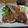 ダイナマイト漆黒's cooksnap of when they made ローズマリーのラムチョップ赤ワインソース.