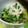 みっくママ's cooksnap of when they made 簡単☆茗荷と三つ葉の麺つゆささっと炒め☆.