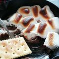 メダカの赤ちゃん's cooksnap of when they made スモアディップ.