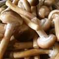 まめざくら's cooksnap of when they made ナラタケの採集から保存方法.