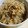 あさここなっつ's cooksnap of when they made ツナ缶と白滝の煮物.