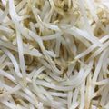 たぁこヨネ's cooksnap of when they made 節約・もやし茹で方・サラダにささっと簡単.