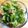 ほがら's cooksnap of when they made 四角豆のおかか和え.