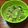 え？橋本さん？'s cooksnap of when they made アボカドとなめたけの超簡単おつまみ☆.