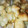 るんちゃそ's cooksnap of when they made ささみのオイスターソースチーズのせ.