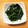 かちぇり's cooksnap of when they made ほうれん草のごま和え⭐.