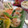 もりあん農園's cooksnap of when they made 山芋のタラコマヨ＆ツナマヨ焼き.