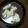 ノムラ27's cooksnap of when they made 夏のおやつ★　豆乳くずもち.
