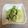 guko's cooksnap of when they made キャベツと塩昆布の和え物.