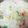 yuwill's cooksnap of when they made 旬です！白菜オンリークリーム煮.