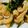 お料理始め隊's cooksnap of when they made もう一品！！ 10分で出来る簡単ニラ炒め.