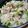 和音モア's cooksnap of when they made 簡単!!!豚肉と白菜のスープ煮♪.