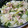 和音モア's cooksnap of when they made 簡単!!!豚肉と白菜のスープ煮♪.