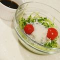 miirr's cooksnap of when they made 豆苗としらすの大根おろしポン酢がけ.
