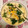 もちょぐう's cooksnap of when they made 簡単＊茶碗蒸し.