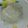 ｽｶｲﾌｨｯｼｭ☆'s cooksnap of when they made ★離乳食★【初期】鯛のミルク煮（白身魚）.