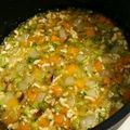 hamupuchi's cooksnap of when they made 離乳食中期後期あんかけの素(お肉).