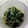 ★みほちゃん★'s cooksnap of when they made 離乳食後期〜わかめとしらすのだし煮.