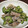 anemonenan's cooksnap of when they made 豚こまとゴーヤの黒胡椒炒め.