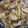 母‼︎修行中☆彡's cooksnap of when they made 簡単★早い！ごはんが進む！豚の生姜焼き♪.